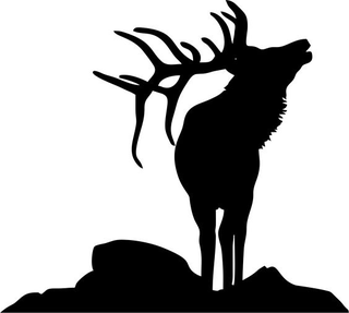 Illustration for article titled The Downward Spiral Of Elks, Part 1